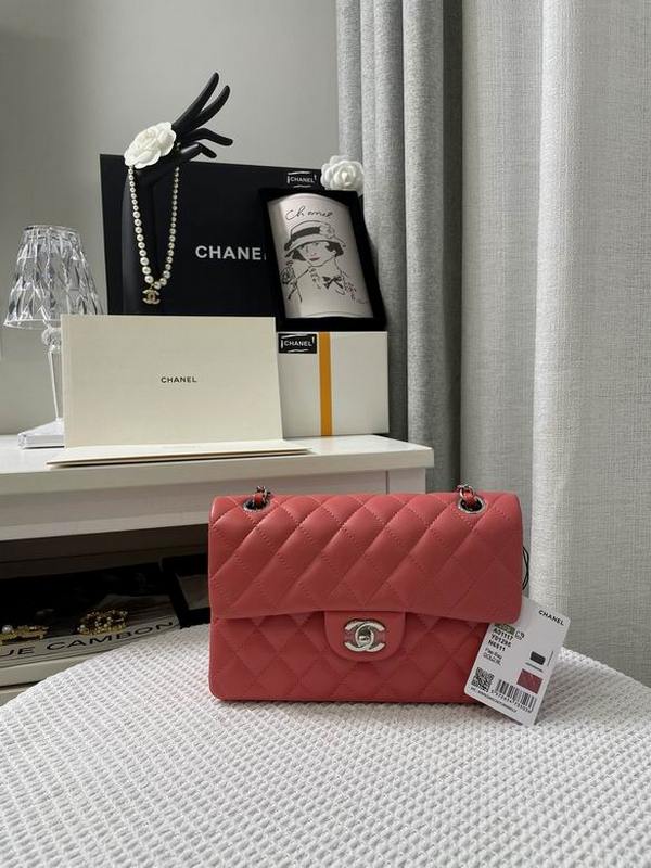 Chanel Handbags 167